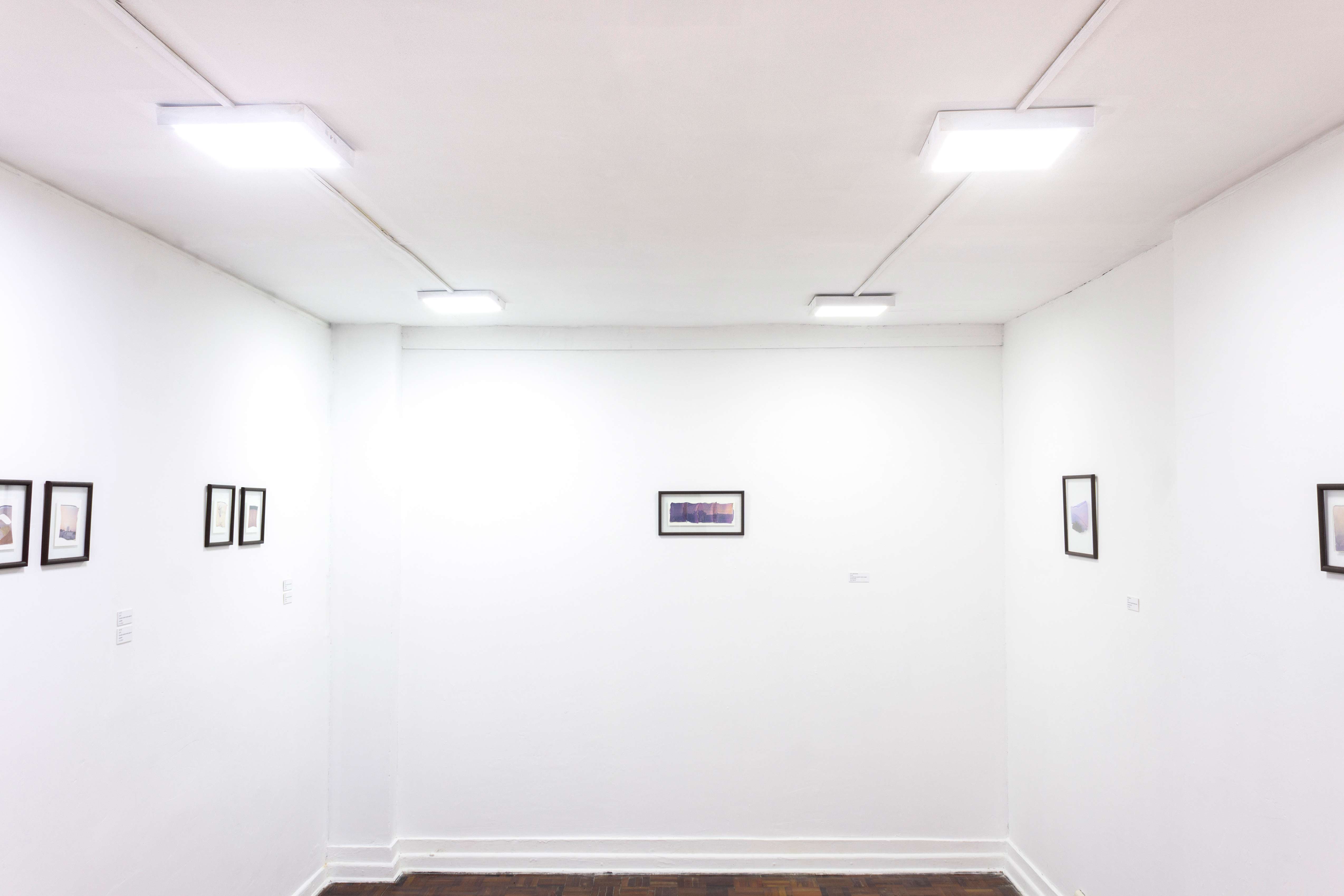 Antes de que desaparezca · Espacio La Sala · Lima, Peru · 2019